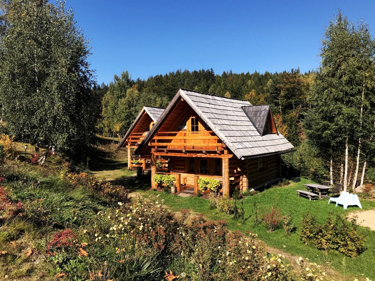 Lesniowka Domki W Karpaczu Esterno foto