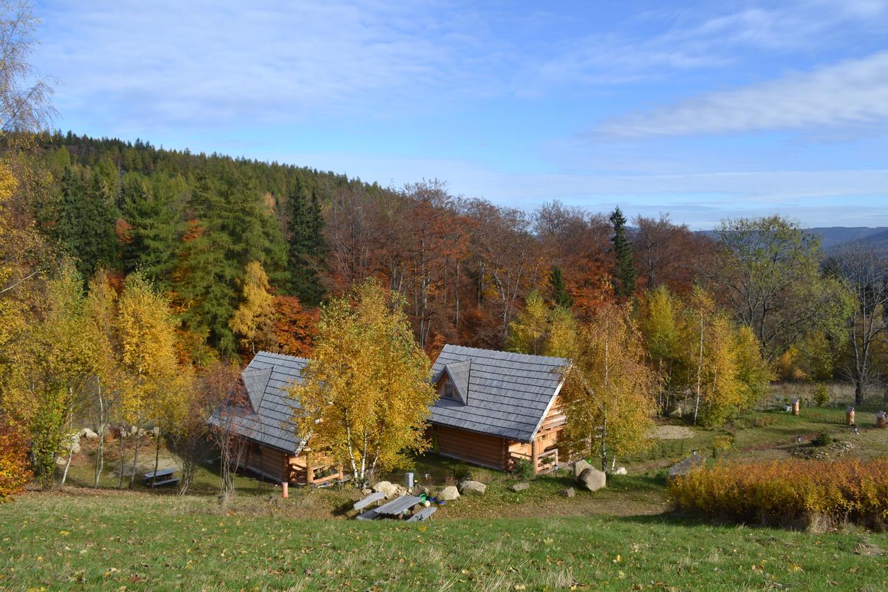 Lesniowka Domki W Karpaczu Esterno foto
