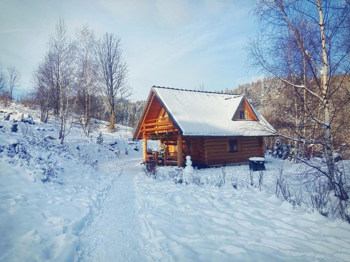Lesniowka Domki W Karpaczu Esterno foto